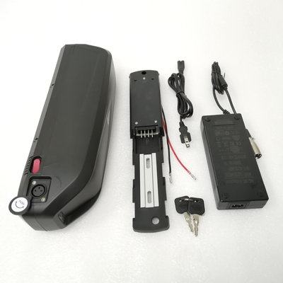 Portable 1000w 48V 20Ah Lithium Ion Battery For Electric Bike